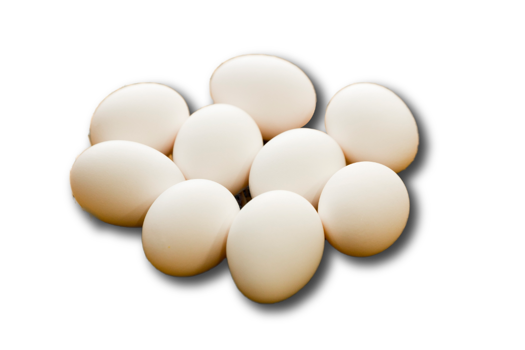 egg_footer
